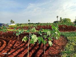  Agricultural Land for Sale in Keerambur, Namakkal