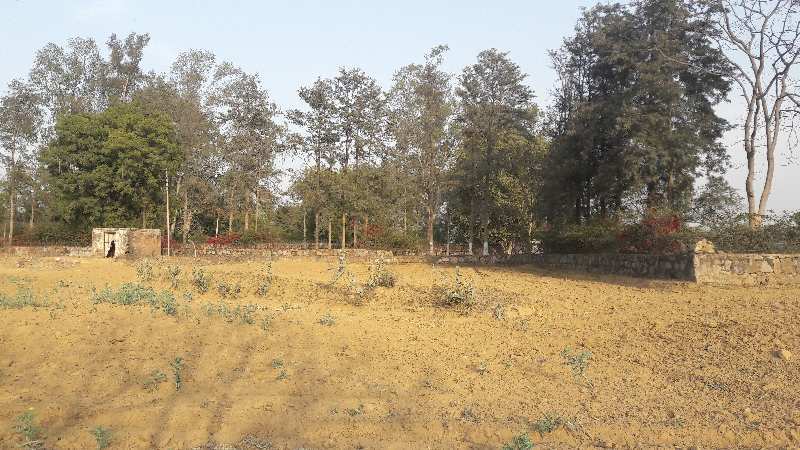 1 Bhk Farm House 25 Acre For Sale In Dera Mandi Hauz Khas Village