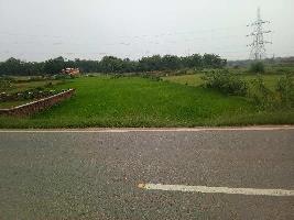  Residential Plot for Sale in Pithoria, Ranchi