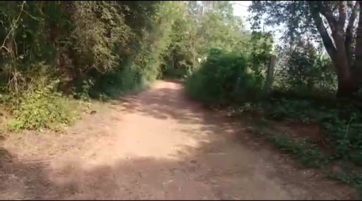 Narsapur, Medak photo 5