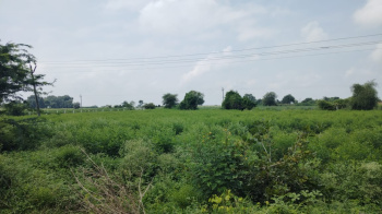  Residential Plot for Sale in Shadnagar, Hyderabad