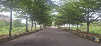  Residential Plot for Sale in Bhongir, Yadadri Bhuvanagiri