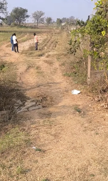 Achampet, Mahbubnagar photo 5