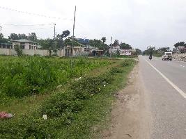 Residential Plot for Sale in Chariali, Biswanath