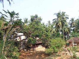  Residential Plot for Sale in Kadampazhipuram, Palakkad