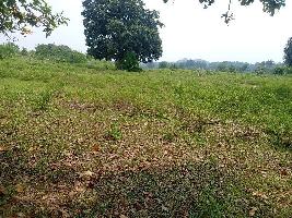  Agricultural Land for Sale in Charama, Kanker