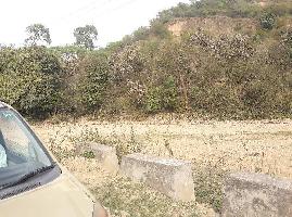  Agricultural Land for Sale in Samba, Jammu