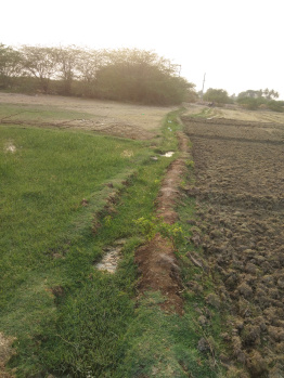  Agricultural Land for Sale in Dharmavaram, Anantapur