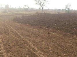  Agricultural Land for Sale in Ajmer Road, Jaipur