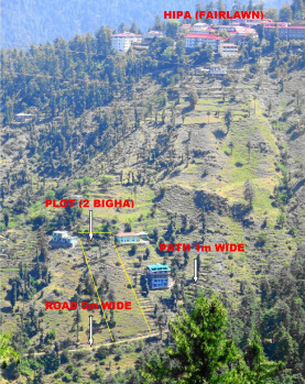  Residential Plot for Sale in Dhalli, Shimla