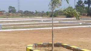  Residential Plot for Sale in New Area, Nawada