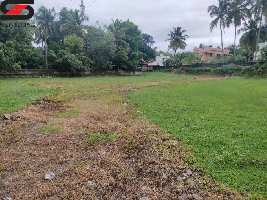  Residential Plot for Sale in Pathirippala, Palakkad
