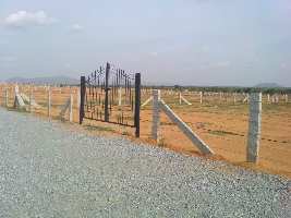  Agricultural Land for Sale in Hindupur, Bangalore
