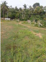  Residential Plot for Sale in Palakkayam, Palakkad