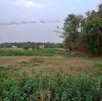  Residential Plot for Sale in Puttur, Palakkad