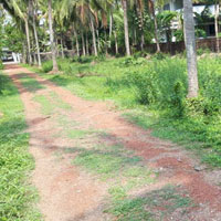  Agricultural Land for Sale in Nemmara, Palakkad