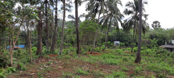  Residential Plot for Sale in Mankavu, Palakkad