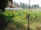  Commercial Land for Sale in Chittur, Palakkad