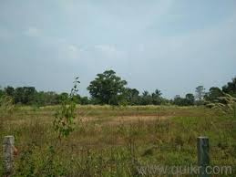  Residential Plot for Sale in Peruvemba, Palakkad