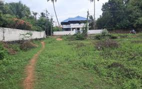  Residential Plot for Sale in Vaniamkulam, Palakkad