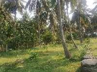  Agricultural Land for Sale in Kongad, Palakkad