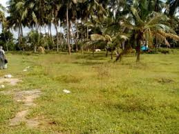  Residential Plot for Sale in Kannamkulangara, Thrissur