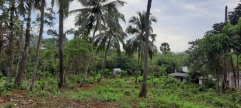  Commercial Land for Sale in Olavakkode, Palakkad