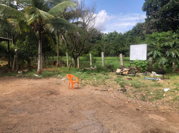  Commercial Land for Sale in Pananchery, Thrissur