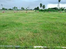  Agricultural Land for Sale in Kizhakkancherry, Palakkad