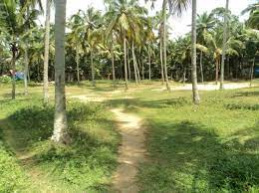  Residential Plot for Sale in Kollengode, Palakkad