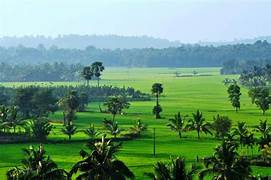  Agricultural Land for Sale in Eruthempathy, Palakkad