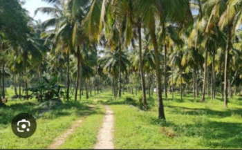  Agricultural Land for Sale in Anaimalai, Coimbatore