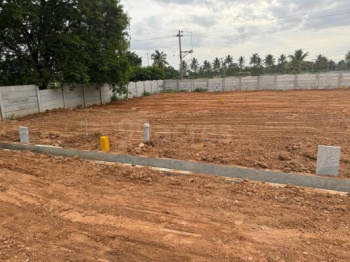  Agricultural Land for Sale in Kozhinjampara, Palakkad