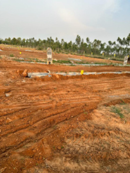  Agricultural Land for Sale in Chittoor, Palakkad