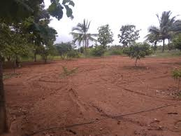  Agricultural Land for Sale in Chittoor, Palakkad