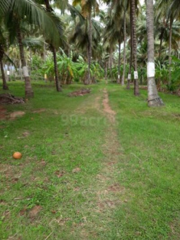  Residential Plot for Sale in Pudussery, Palakkad