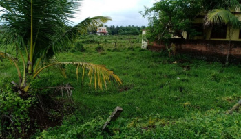  Residential Plot for Sale in Alathur, Palakkad