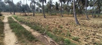  Agricultural Land for Sale in Malampuzha, Palakkad