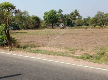  Commercial Land for Sale in Ottapalam, Palakkad