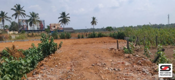  Residential Plot for Sale in Vadakkencherry, Palakkad