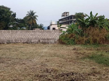  Residential Plot for Sale in Ottapalam, Palakkad