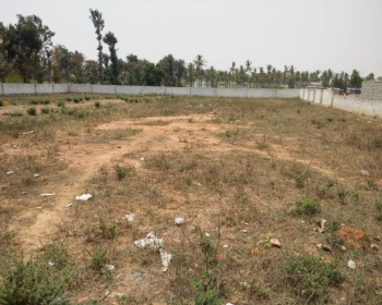  Residential Plot for Sale in Nemmara, Palakkad