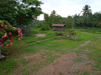  Residential Plot for Sale in Adimali, Idukki