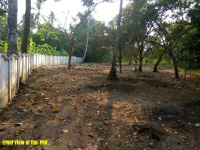  Residential Plot for Sale in Chittur, Palakkad