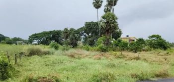  Residential Plot for Sale in Kodumbu, Palakkad