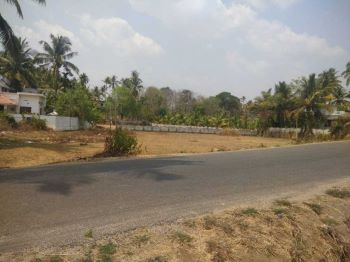  Residential Plot for Sale in Thenkurissi, Palakkad
