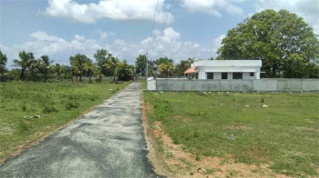  Residential Plot for Sale in Aluva, Ernakulam