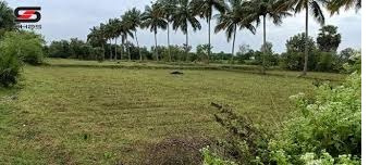  Residential Plot for Sale in Vadakkencherry, Palakkad