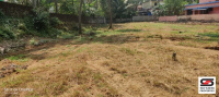  Agricultural Land for Sale in Adalur, Dindigul