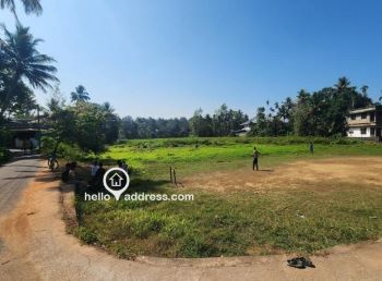  Residential Plot for Sale in Thenkurissi, Palakkad